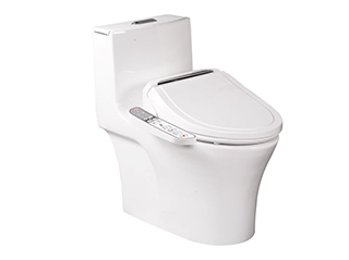 C-6600 省水單體馬桶+智能免治馬桶座NO.4